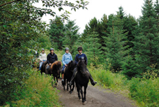 Iceland-Northern Tours-Iceland Special